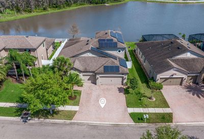1846 Cameron Court Trinity FL 34655