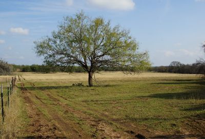 181 Buck Rabbit Road Briggs TX 78608