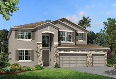 3105 King Fern Drive Wimauma FL 33598