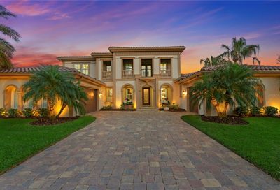 16405 Chapman Crossing Drive Lithia FL 33547