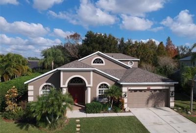 1938 Alecost Court Trinity FL 34655