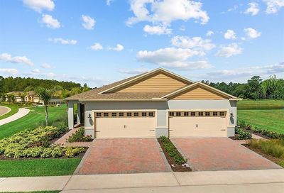 3441 Twin Flower Court Clermont FL 34714