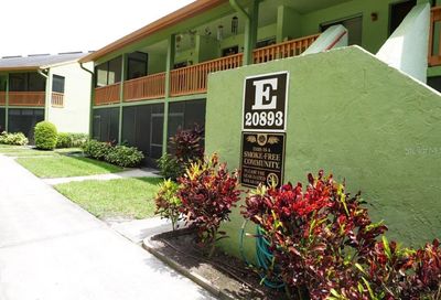 20893 Haulover Cove Lutz FL 33558