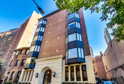 39 E Schiller Street Chicago IL 60610