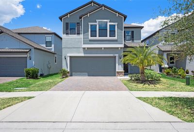 9715 Ivory Drive Sun City Center FL 33573