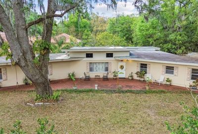11519 N Ravine Road Tampa FL 33612