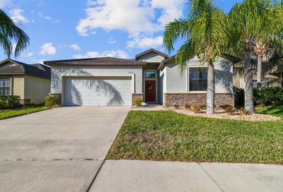 11020 Whittney Chase Drive Riverview FL 33579