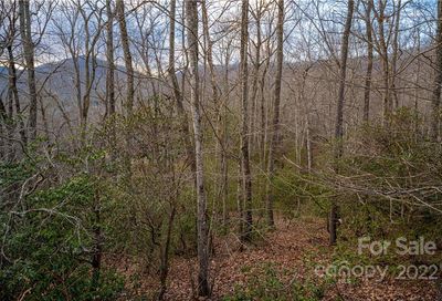 8 Wood Lily Trail Arden NC 28704