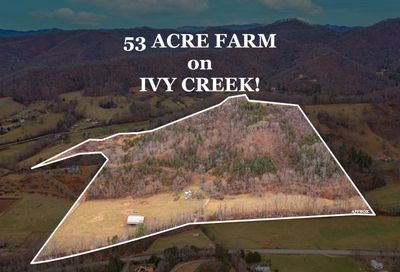 10 White Pine Drive Barnardsville NC 28709