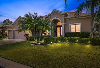 2250 Tarragon Lane New Port Richey FL 34655