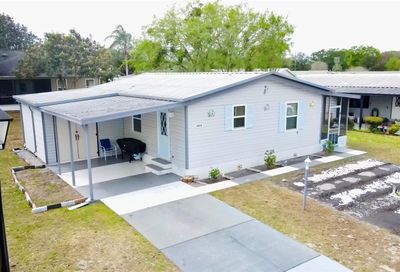 1228 E Schwartz Boulevard The Villages FL 32159