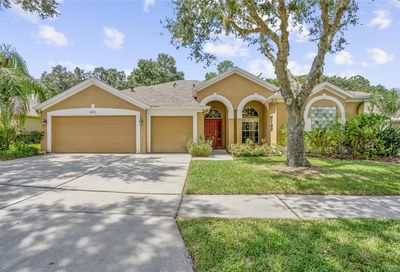 5915 Falconwood Place Lithia FL 33547