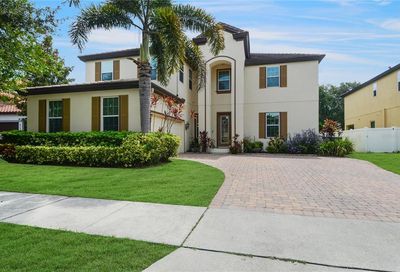 6234 Roseate Spoonbill Drive Windermere FL 34786