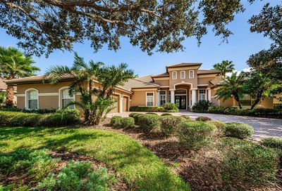 10413 Pontofino Circle Trinity FL 34655