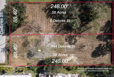 644 Dolores Drive New Smyrna Beach FL 32168