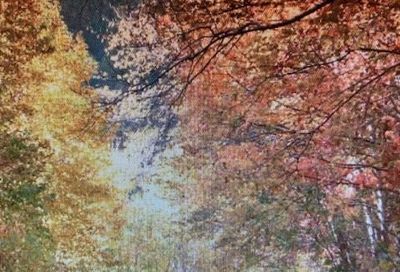 00 Trillium Lane Mars Hill NC 28754