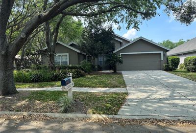 3002 Bent Creek Drive Valrico FL 33596