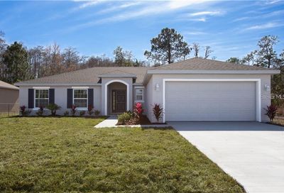 421 Britten Drive Kissimmee FL 34758