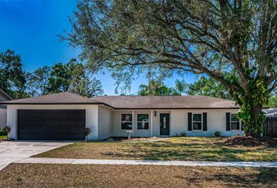 3805 Rolling Circle Valrico FL 33594