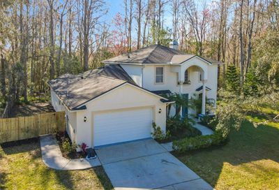 10046 Indian Mound Drive New Port Richey FL 34654