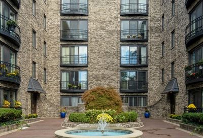 1009 Bonnie Brae Place River Forest IL 60305