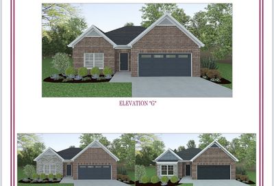 328 Moccasin Trail Lot 295 Spring Hill TN 37174