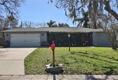 411 Desiree Drive Brandon FL 33511