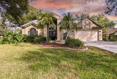 2704 Buckhorn Oaks Drive Valrico FL 33594