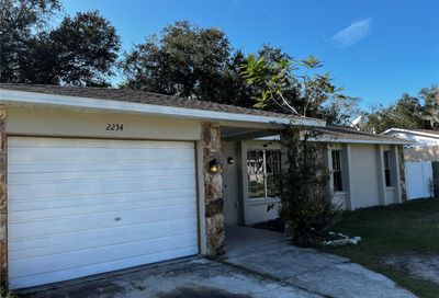 2234 Village Court Brandon FL 33511