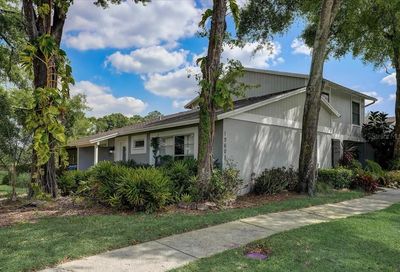 15605 Morning Drive Lutz FL 33559