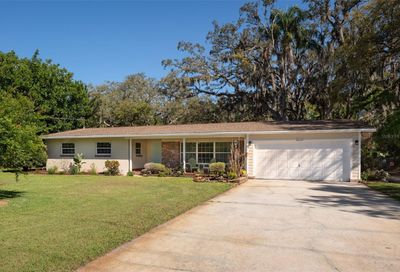 3019 Lake Ellen Drive Tampa FL 33618