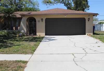 4125 Riverwood Drive New Port Richey FL 34653