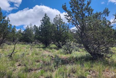 Tbd SE Terrible Trail Prineville OR 97754