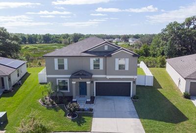 39660 Dawson Chase Drive Zephyrhills FL 33540