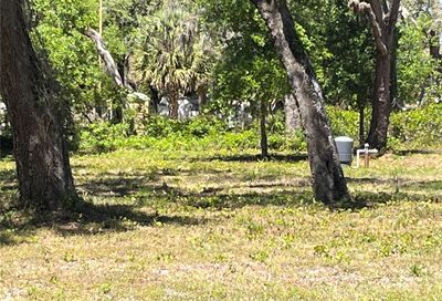 Adonis New Port Richey FL 34654
