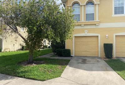 9002 Moonlit Meadows Loop Riverview FL 33578