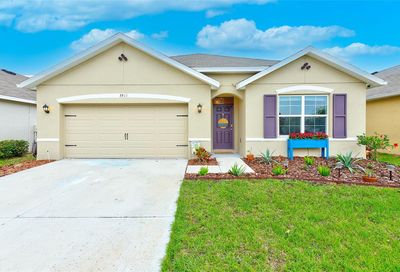 3911 Willow Branch Place Palmetto FL 34221