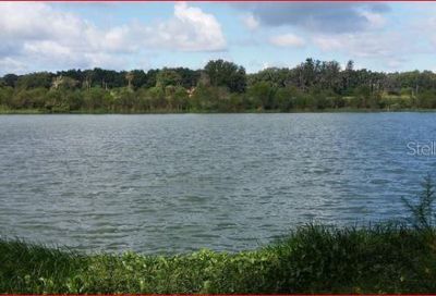 15310 Fishhawk Heights Lithia FL 33547