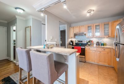 3930 N Pine Grove Avenue Chicago IL 60613