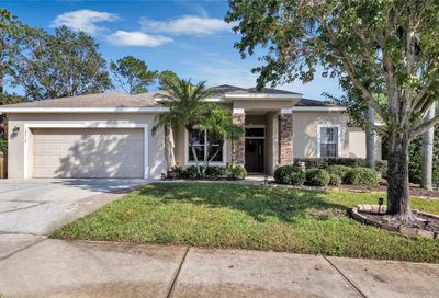 12212 Still Meadow Drive Clermont FL 34711