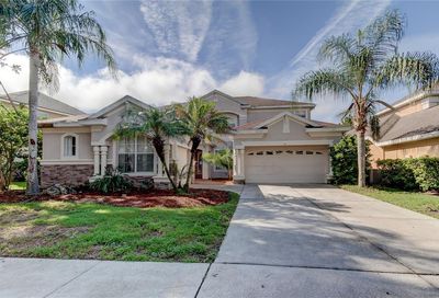 10130 Deercliff Drive Tampa FL 33647