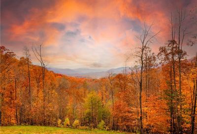 Tbd Sam Cove Road Robbinsville NC 28771