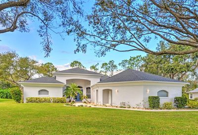 2705 Autumn Leaves Drive Port Orange FL 32128