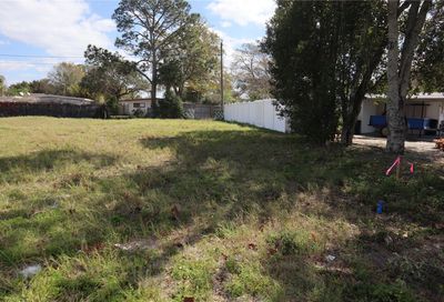 Camelia Drive New Port Richey FL 34652