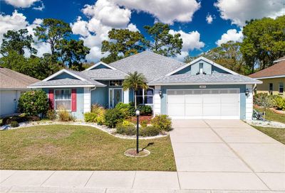 317 Caloosa Woods Lane Sun City Center FL 33573