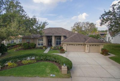3763 Executive Drive Palm Harbor FL 34685