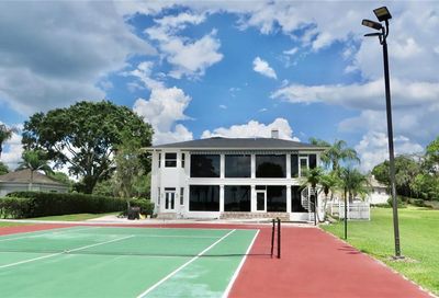 290 Rue Des Lacs Tarpon Springs FL 34688