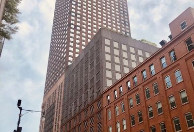 474 N Lake Shore Drive Chicago IL 60611