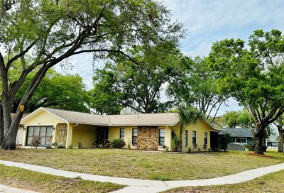 8709 Wind Mill Drive New Port Richey FL 34655