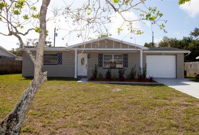 2407 Palmwood Drive Holiday FL 34690